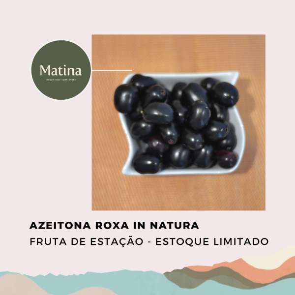 Azeitona roxa in natura